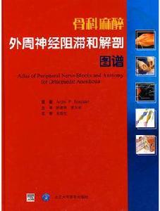 骨科麻醉外周神經阻滯和解剖圖譜