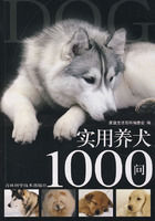 實用養犬1000問