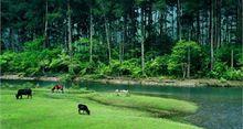 湖南千家峒國家森林公園