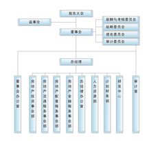 公司組織結構