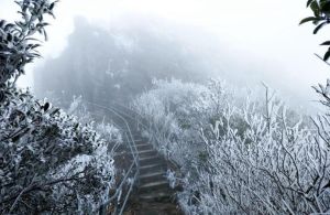 金子山[廣東清遠連山縣金子山]