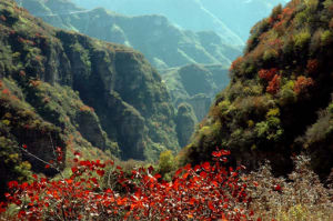 臥龍山景觀