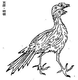 鸓鳥