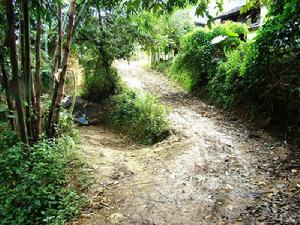 抄紙寨自然村通村道路