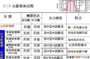 快速射血期