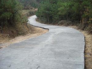 隆平鄉水泥路