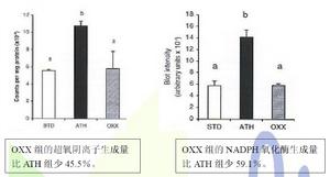 Oxxynea22種蔬果多酚