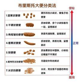 布里斯托大便分類法