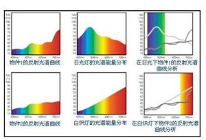 光性異向指數