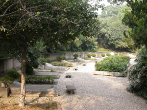 （圖）菊花台[南京市]