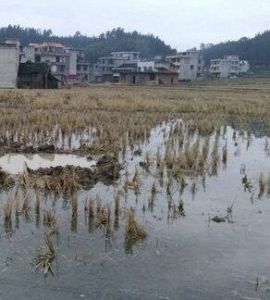 陽田村