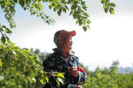 李洪明[生態林管護員]