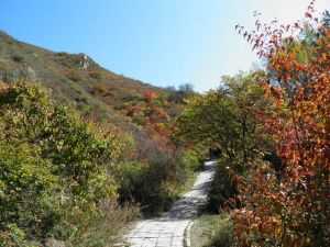 二龍什台國家森林公園