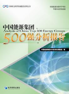 中國能源集團500強分析報告