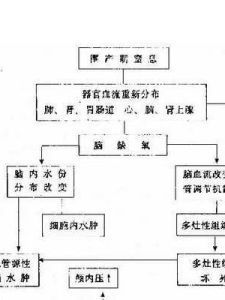 新生兒缺氧缺血性腦病