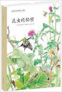 蒲公英自然繪本系列1：昆蟲的秘密