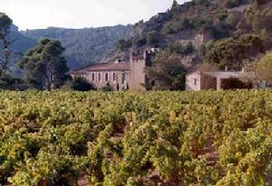 密內瓦 Minervois