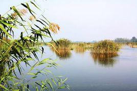 安徽泗縣石龍湖濕地風景區