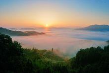 旌德縣版書鎮楊家嶺雲海日出