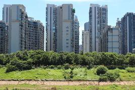 珠江·愉景灣 珠江·愉景灣