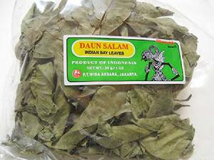 Daun Salam