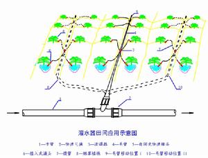 滴灌技術