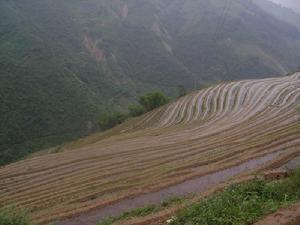 石屏下寨村水田