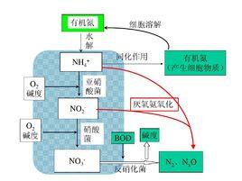 生物脫氮除磷