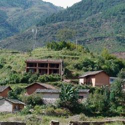 辛寨村[山西南郊區口泉鄉下轄村]