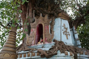 菩提寺