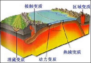 變質岩 分類