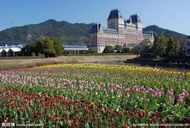 玫瑰莊園[青島玫瑰莊園酒業有限公司]