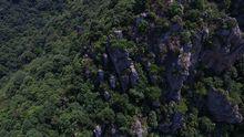 香山[江西省贛州市香山]