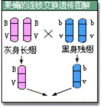 相關圖片