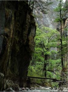 香格里拉峽谷群