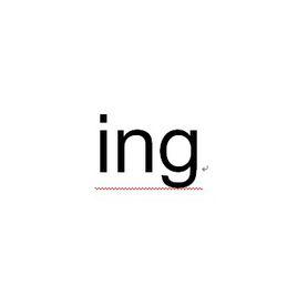 ing[保險公司縮寫]