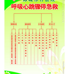 兒童心跳呼吸驟停