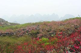 恭城大嶺山