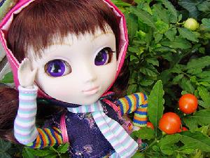 pullip