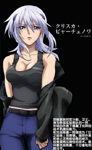 Muv-Luv Alternative Total eclipse[日本遊戲公司age出品冒險遊戲]