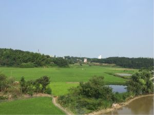 華容縣三封寺鎮新鋪村