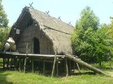 河姆渡居住房屋