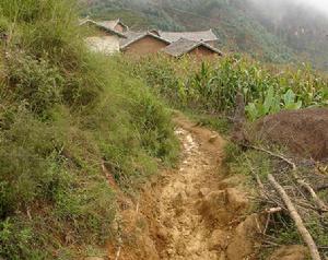 團結村委會麥地坪村進村小路