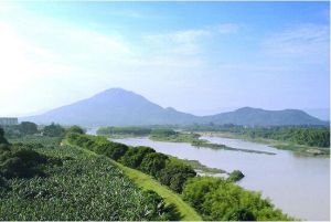 九龍江河口地區