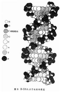 生物大分子衍射技術