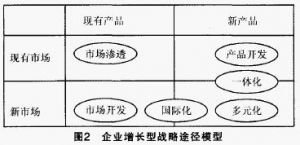 增長型戰略的決策模型