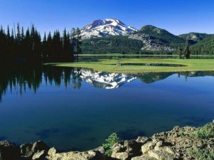 阿里山國家森林遊樂區