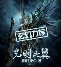 小說《光明之翼》