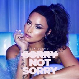 Sorry Not Sorry[Demi Lovato個人單曲]