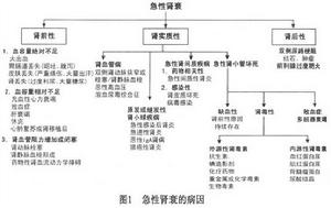 老年人急性腎功能衰竭